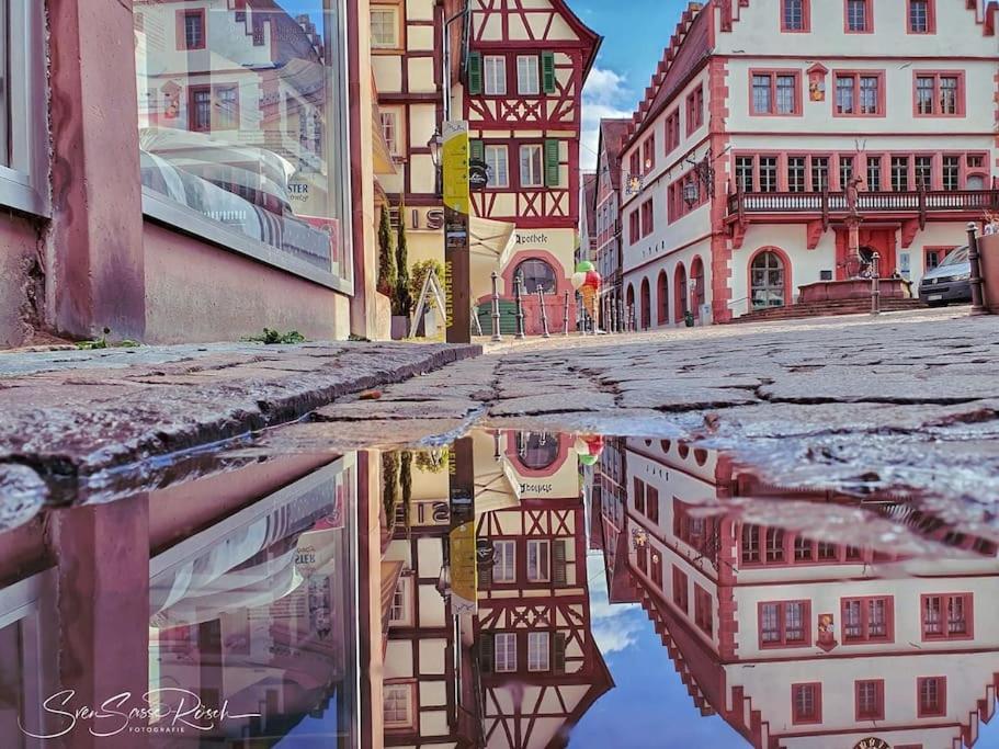 Ferienwohnung Zwischen Weinheim Und Hemsbach Екстериор снимка