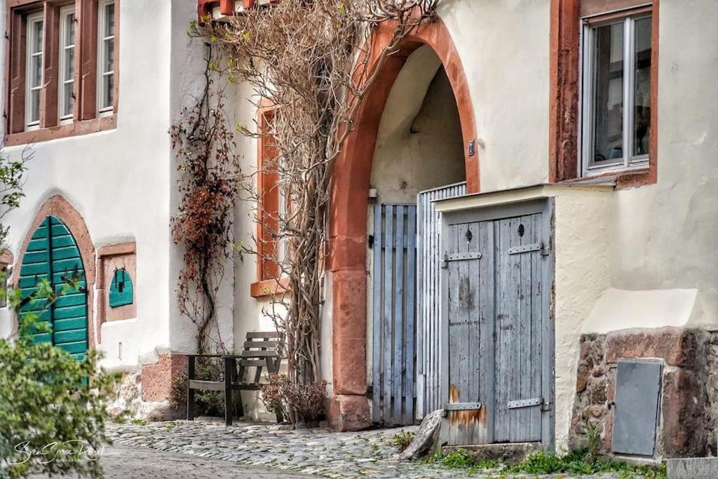 Ferienwohnung Zwischen Weinheim Und Hemsbach Екстериор снимка